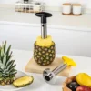 Spot Stainless Steel Pineapple Fruit & Vegetable – Image 4