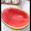 Stainless Steel Watermelon Slicer - Easy-Grip – Image 9